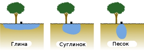 Распределение воды в верхнем слое почвы